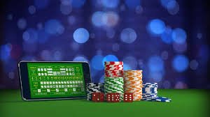 z11 bet