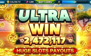 z11 bet